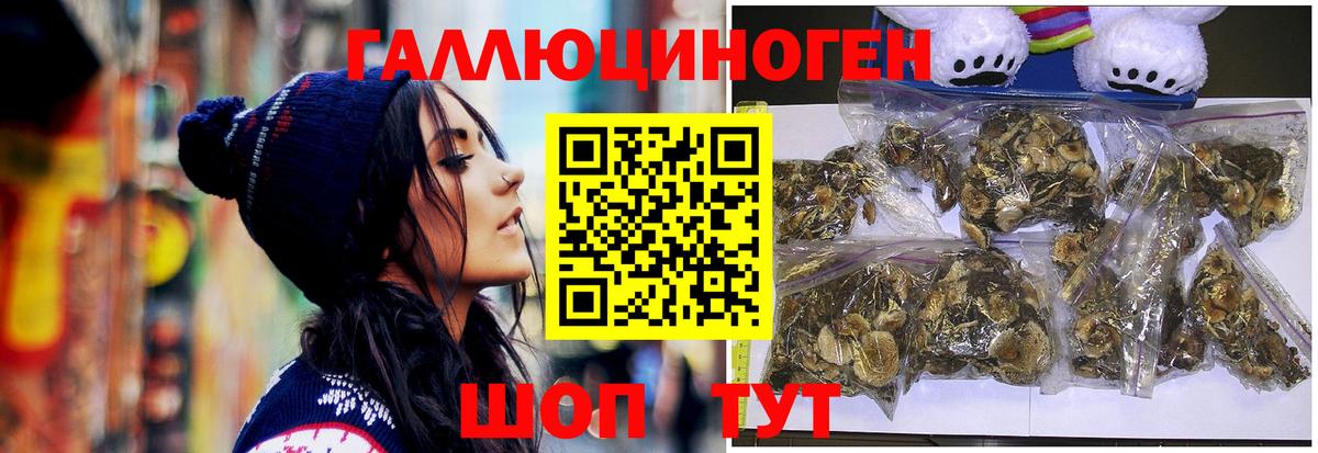 Псилоцибиновые грибы Cubensis  Галлюциногенные грибы прущие грибы  где можно купить   Дюртюли  Вход с VPN 